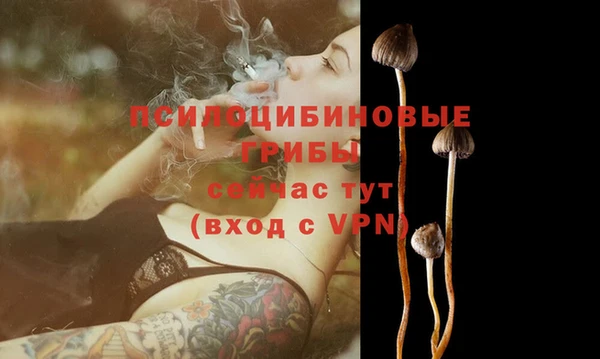 мяу мяу мука Алексеевка