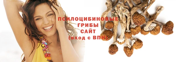 мяу мяу мука Абдулино
