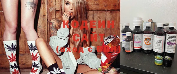 кокс Алексин