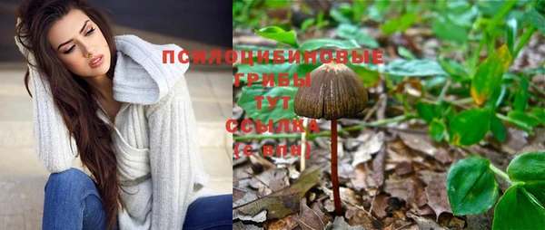 молекула духа Абаза